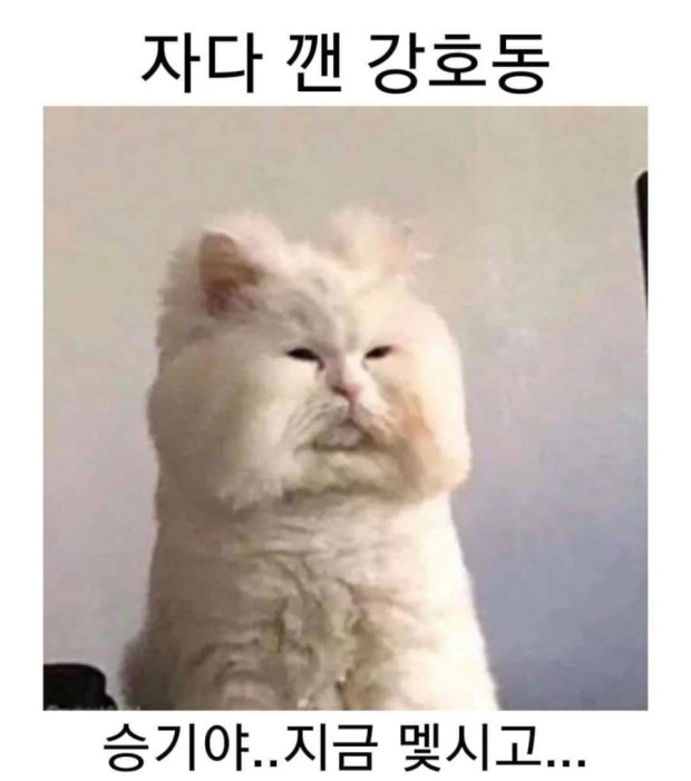 굿모닝 여행사 이미지