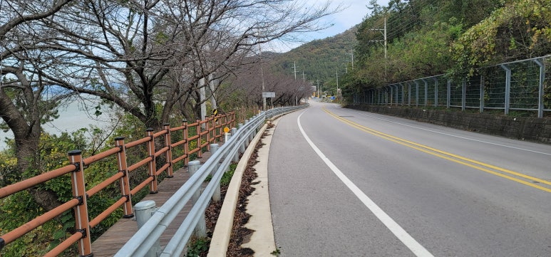 남파랑길 81코스 이미지