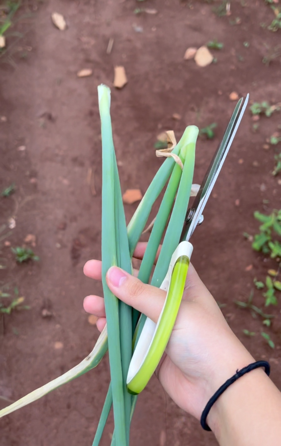 도레미게스트하우스 이미지