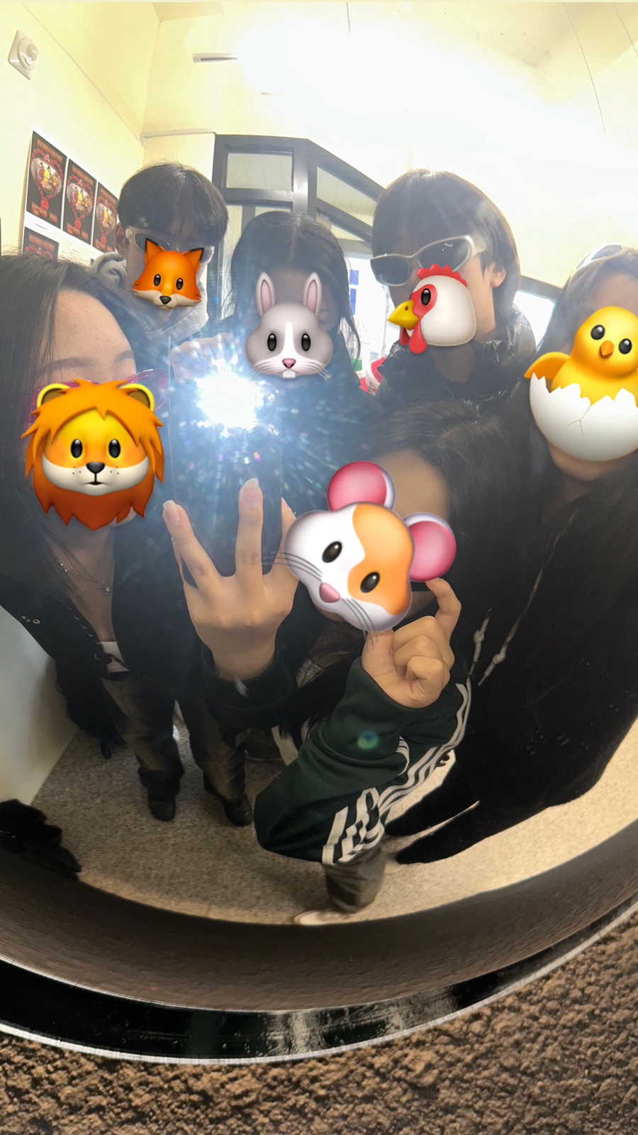 다영황 이미지