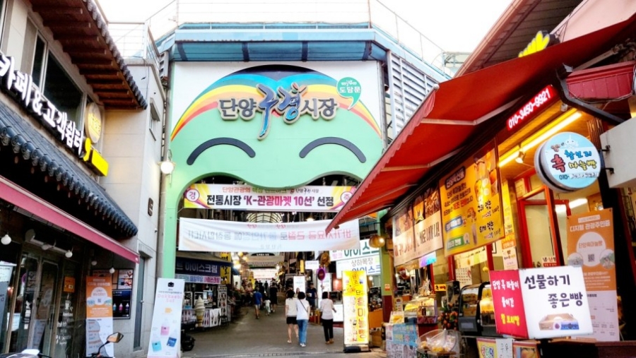 단양마늘 와송만두 이미지