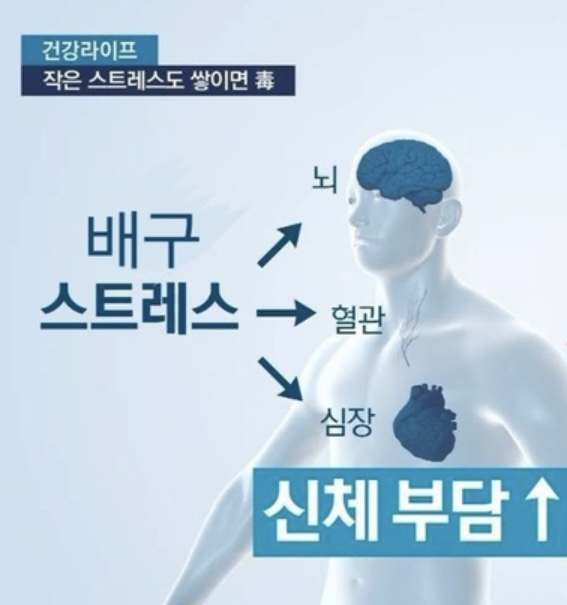 밀밀 이미지