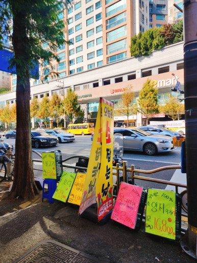 우리소푸줏간 이미지