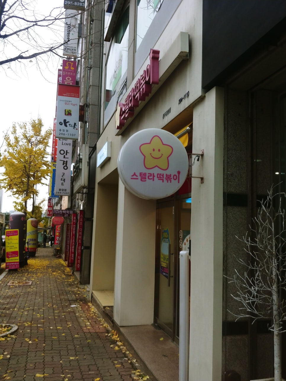 스텔라떡볶이충북 이미지