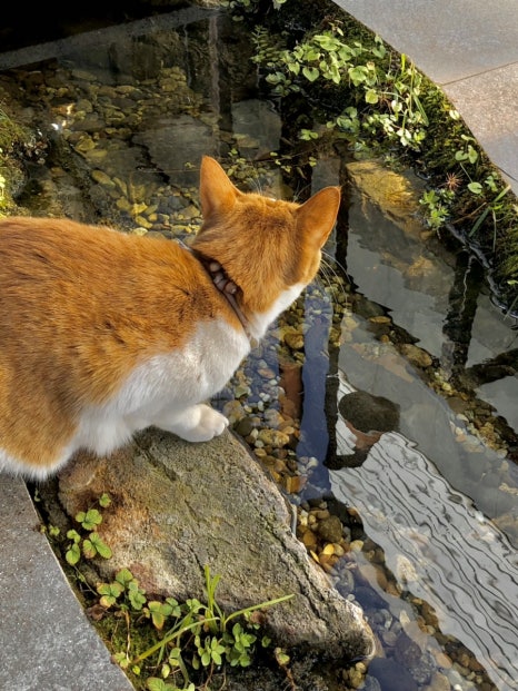 시랑리책방 이미지