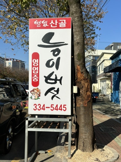 별빛산골능이버섯 이미지