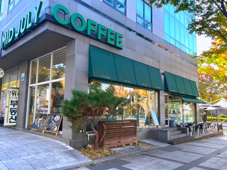 미드줄라이 이미지