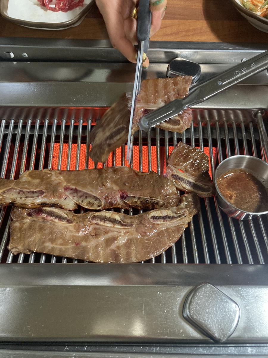 올레쇠막 이미지