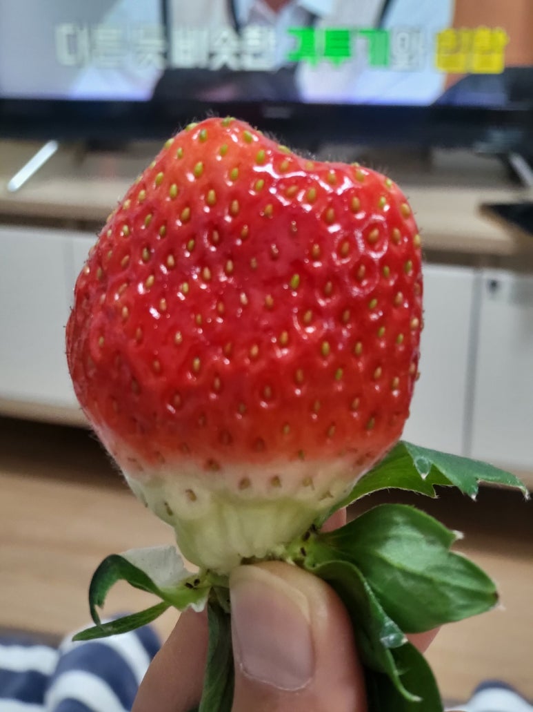아라미카페 이미지