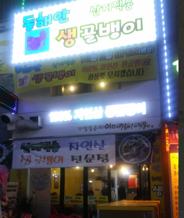 동해안생골뱅이 이미지