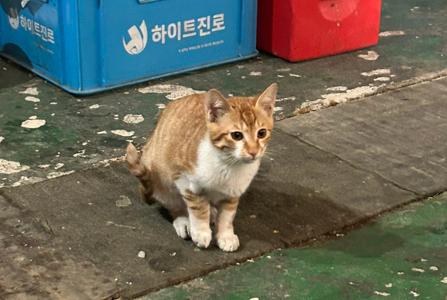 진여수산 이미지