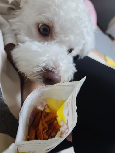 막내딸집건어물창원 이미지