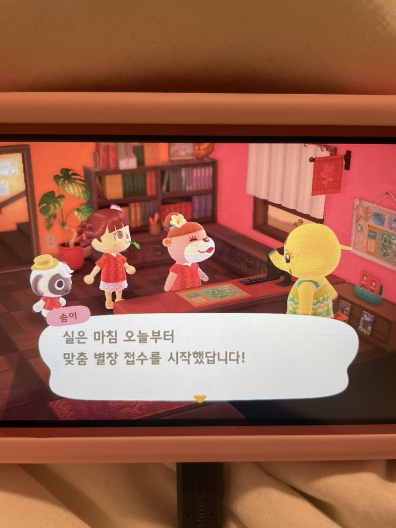 랜덤파라다이스 이미지