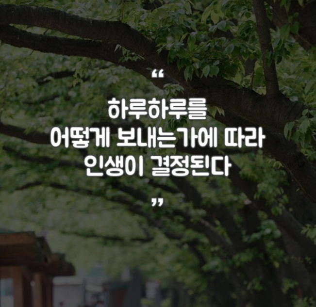 메고지고떡창고청주 이미지