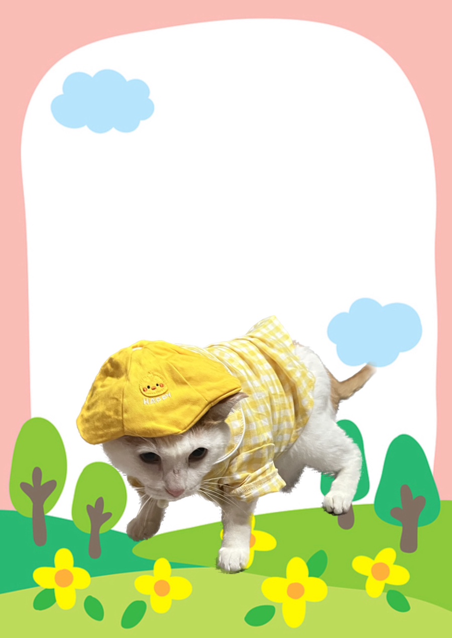 세명복권 이미지