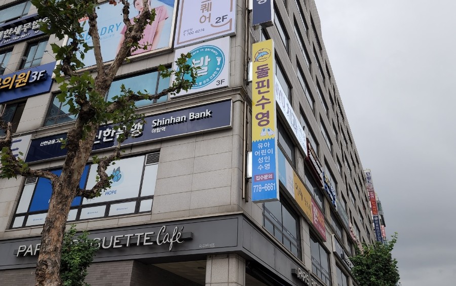 돌핀수영 이미지