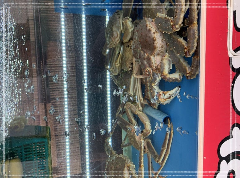 통큰동호네 이미지