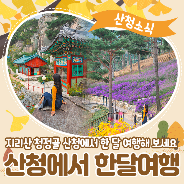 웰니스메이트 이미지