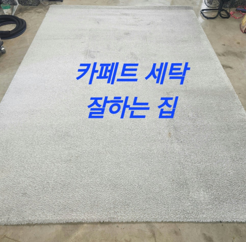 세탁잘하는집 이미지