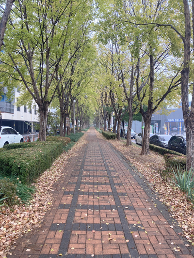세류주유소 이미지