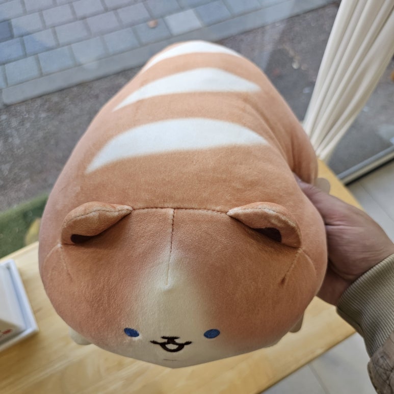 바겟뜰 이미지