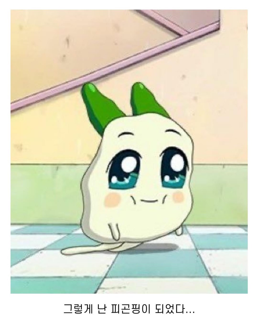 포듐 이미지