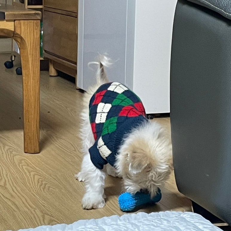대맛초별내 이미지