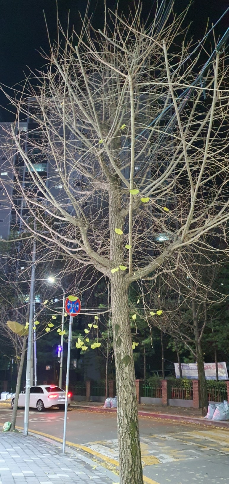 보리소정육식당 이미지