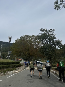 클린스쿨 전북 이미지