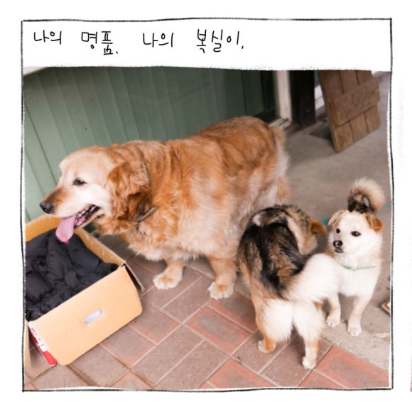 나도명품 이미지