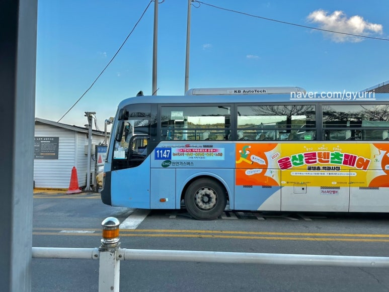 명동도매마트 이미지