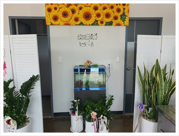 장보고칼국수 이미지