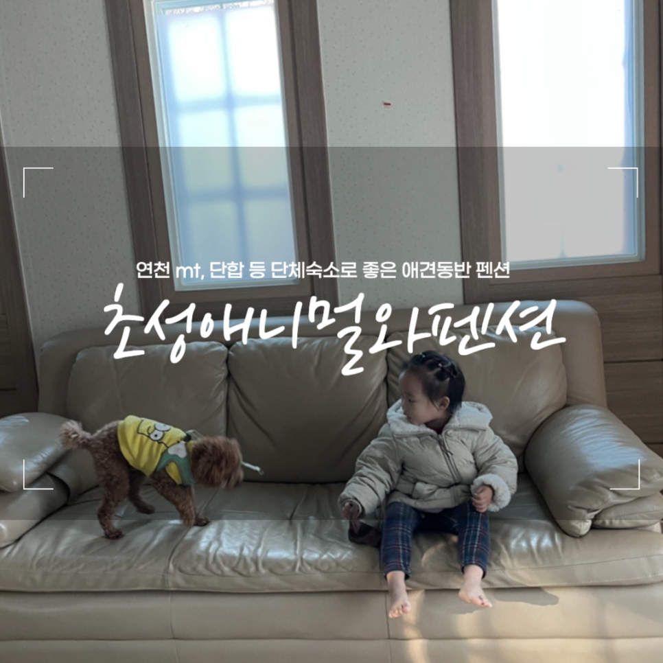 초성애니멀와 이미지