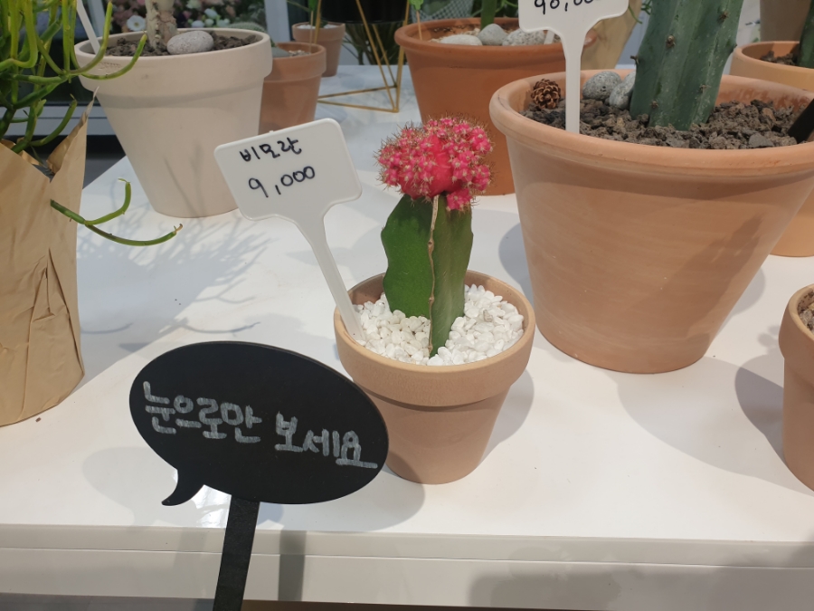 프레쉬가든 이미지