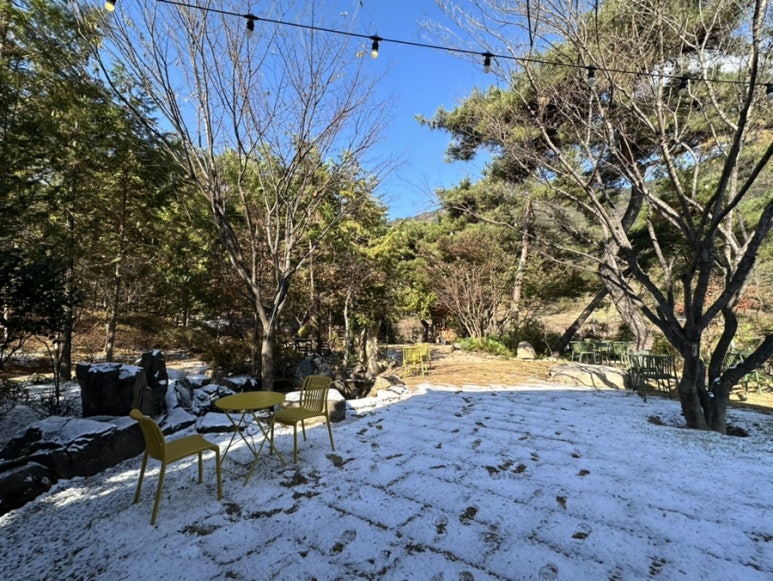 아떼에르 인 예다숲 이미지
