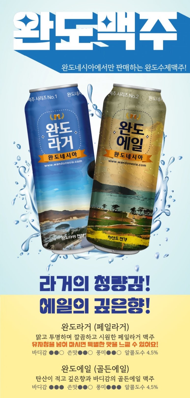 완도스타일 이미지