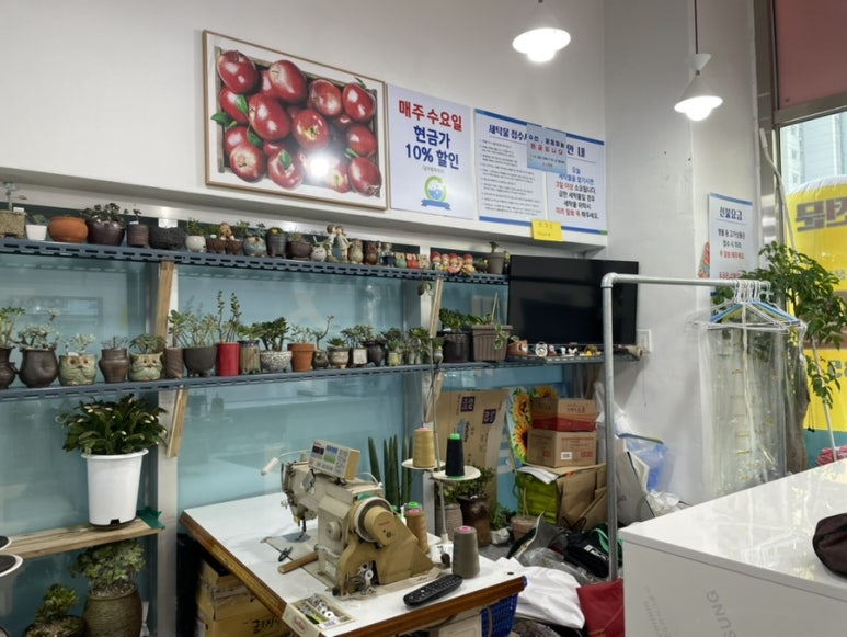 종산세탁 이미지