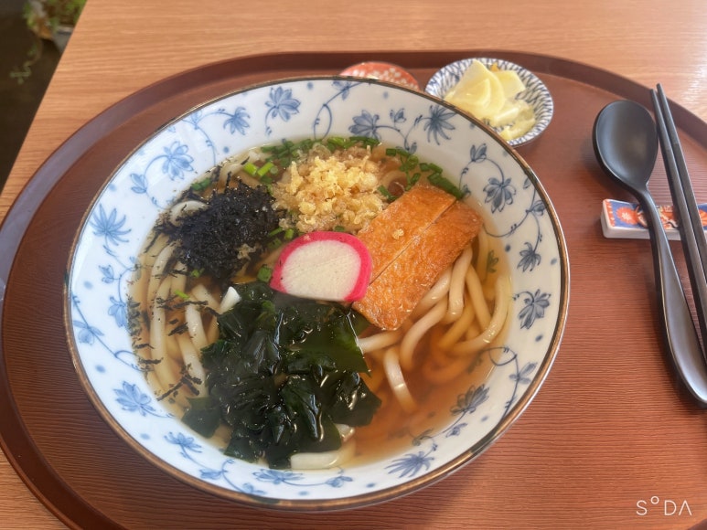 소바젠 이미지