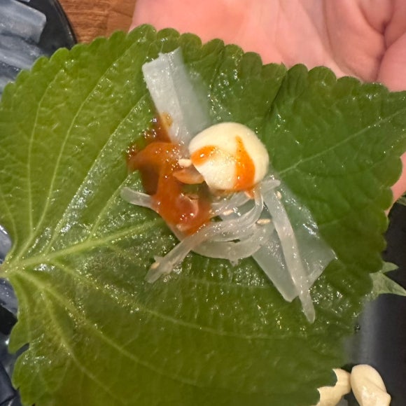 오징어 와 친구들 이미지