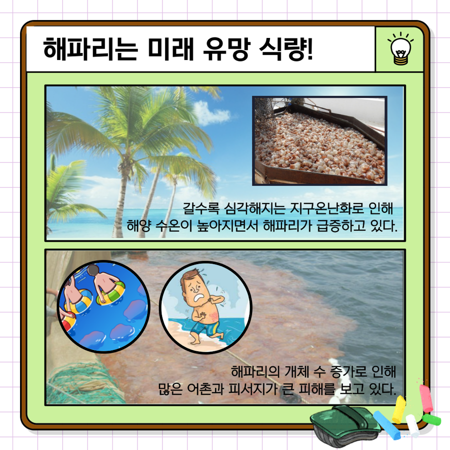 노벨푸드 이미지