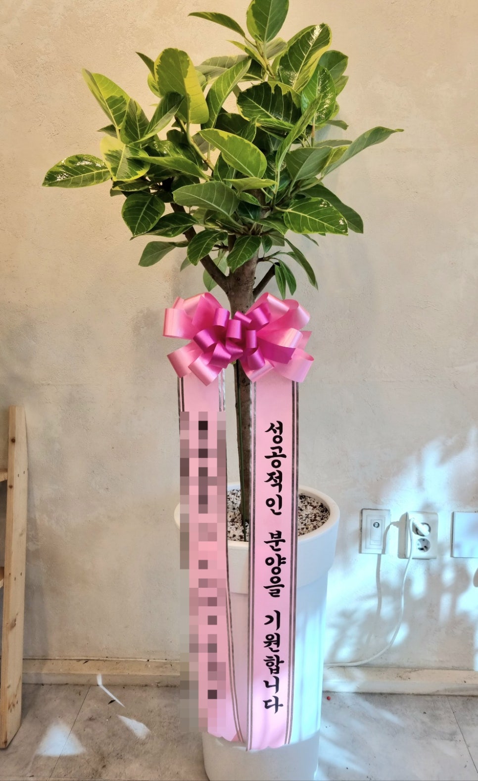 채원의숲 이미지