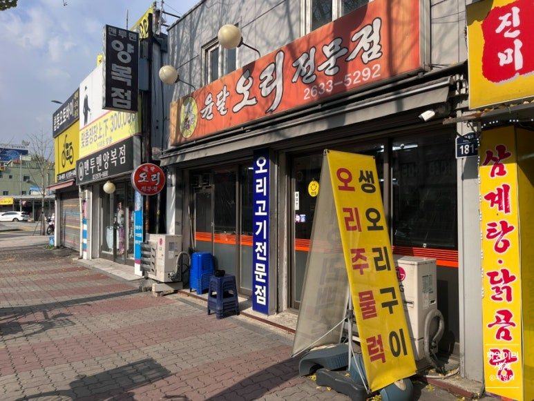 윤달오리 이미지