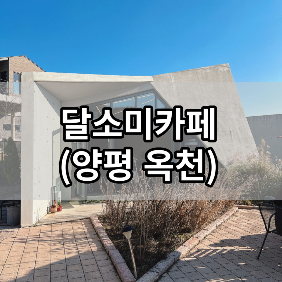 달소미카페 이미지