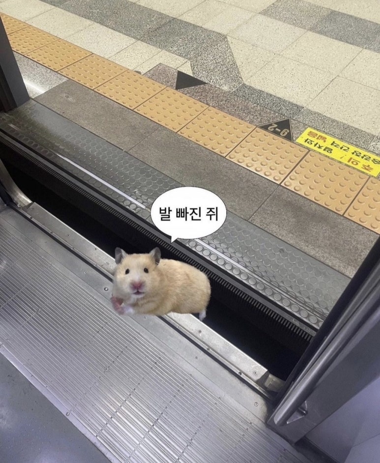 소슬바람 이미지