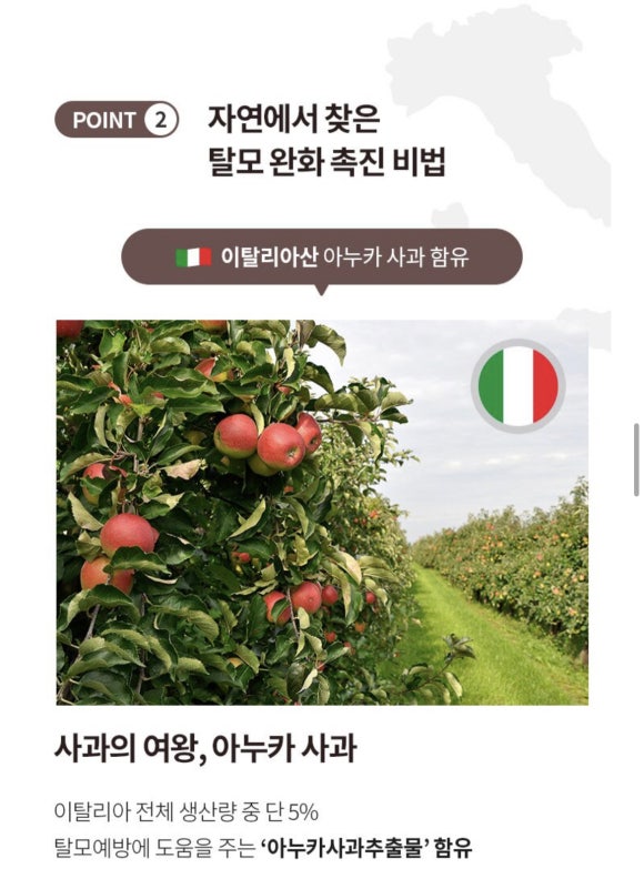 리보플라 이미지