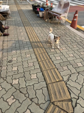 인싸포토강원 이미지