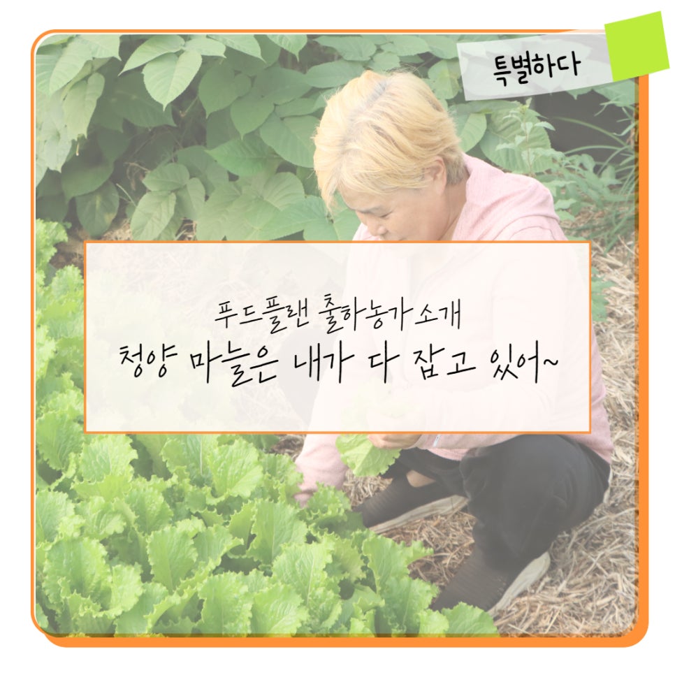 담소푸드 이미지