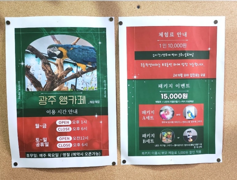 광주앵카페 이미지
