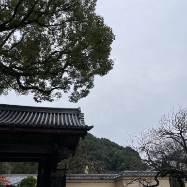 황소떡집 이미지
