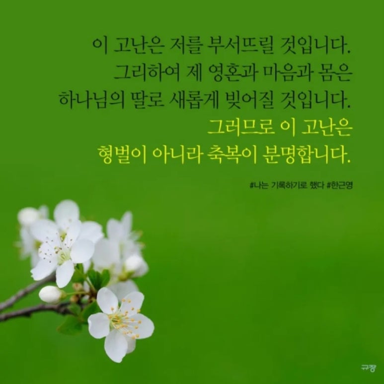 (주)배성 이미지